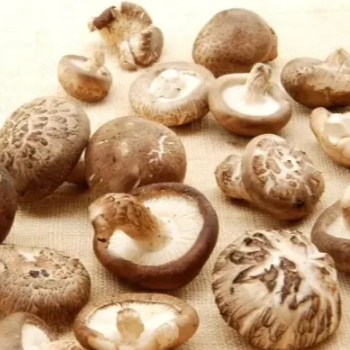 Shiitake Mushrooms