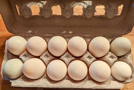 Duck Egg (a dozen)