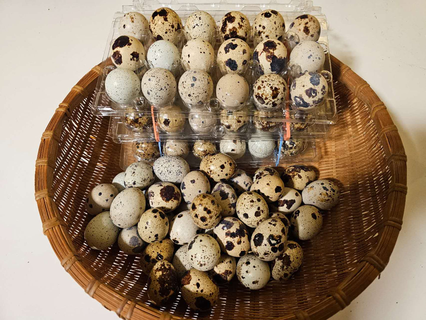 新鲜鹌鹑蛋（18个/盒）