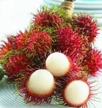 Rambutan
