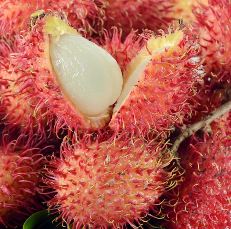 Rambutan