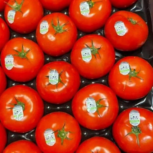 Beefsteak Red Tomato