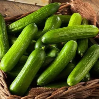 Cucumbers (Mini Persian) - 4 lbs per bag