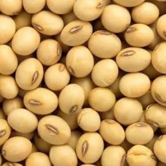 Fresh soybeans from local farms-5 lbs by Eastern Paradise Farm